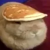 melon_master86