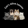 alive.lessons