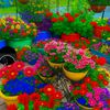 sadiya8islam