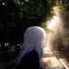 im_shyrka