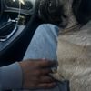 h3llokittybbyy