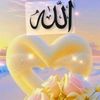 user529113045256