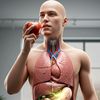 healthy body