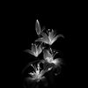 its_isa317