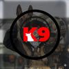 ls_studios.produc