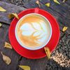 Story Kopi