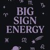 naysbigsignenergy