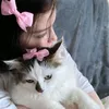lina_19985a