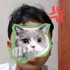 dede.jaelani173