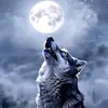 johnfvh6