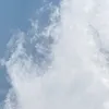 kuakuazo