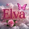 elvaardila9158