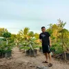 tiktoktaphoa1404
