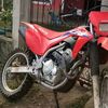 daviguillen7482