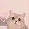 tramxinggai3