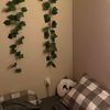 roombywidyaa