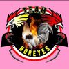 horeyesptk