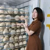 Trại Đà Điểu Của Vi