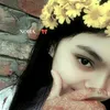noha15137