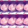 dianaazzahraa_