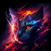 kucingkucing323