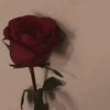 aireen_1702