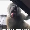 kiyotiniee