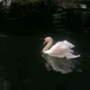 jhhhbb003