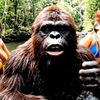 El Bigfoot