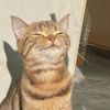 Smilingcat