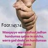dawit.adugna08