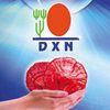 dxn_996
