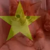 thanhtamthikmeo2