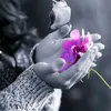 all1_130