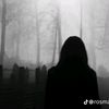 user194004134