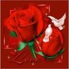 user3019501151661