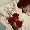 s.mva_17
