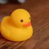 papera_gialla1