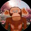 user98741182300044