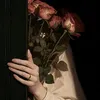 alialka31