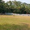 dikadikau3