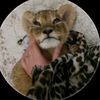 🐆حَوراءރ