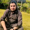 ibraham175