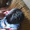mada_886