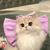 white_cat302