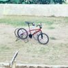vino_jember