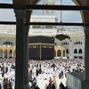هيام🌸