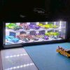 alvy.garage