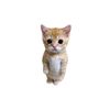 meowlogics