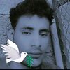 user4568688486186